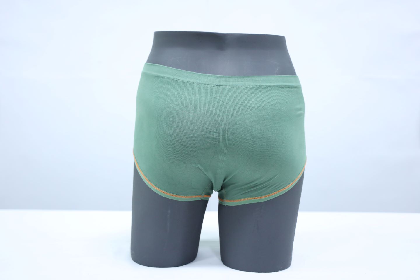 10088 - Classic Regular Fit Panty: Seamless Comfort Briefs