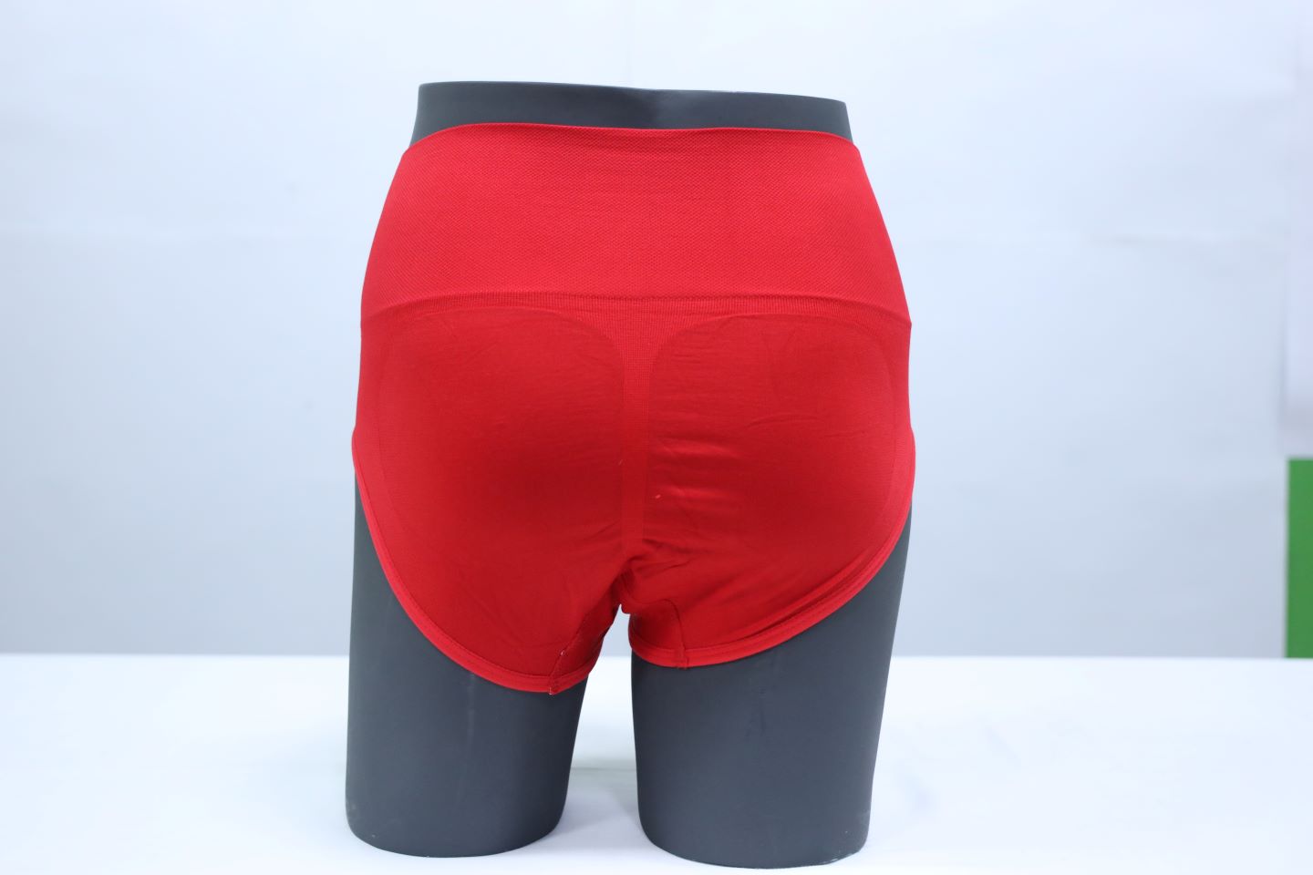 10093 - Classic Regular Seamless Panty Ultimate Comfort Underwear