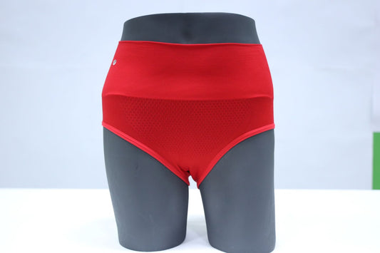 10093 - Classic Regular Seamless Panty Ultimate Comfort Underwear