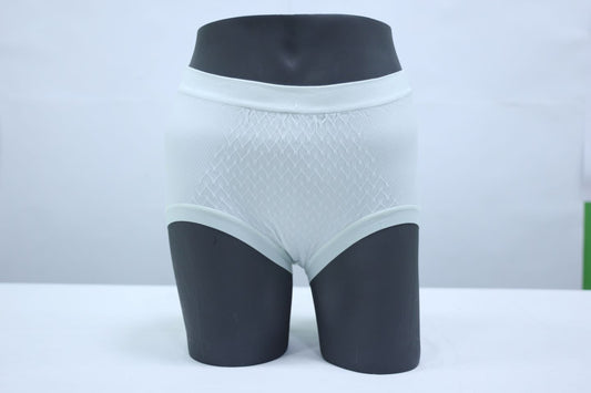 10094 - Classic Regular Fit Seamless Panty Ultimate Comfort Brief