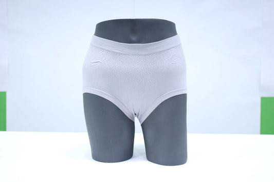 10095 - Classic Regular Fit Seamless Panties Ultimate Comfort Underwear