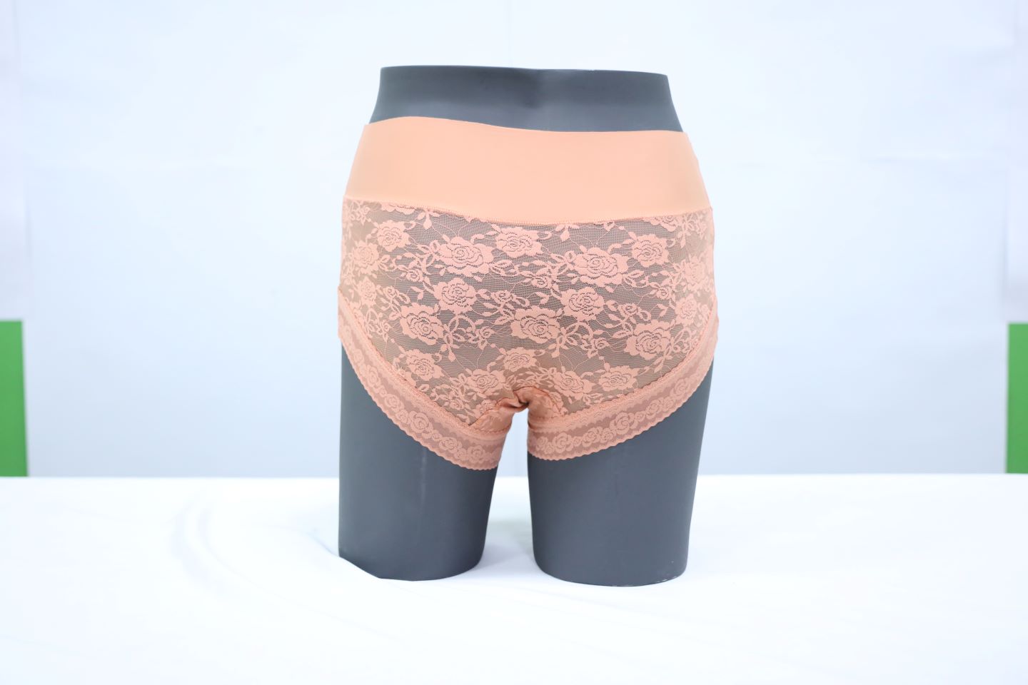 10108 - Classic Regular Fit Lace Underwear Elegant Feminine Design Panty