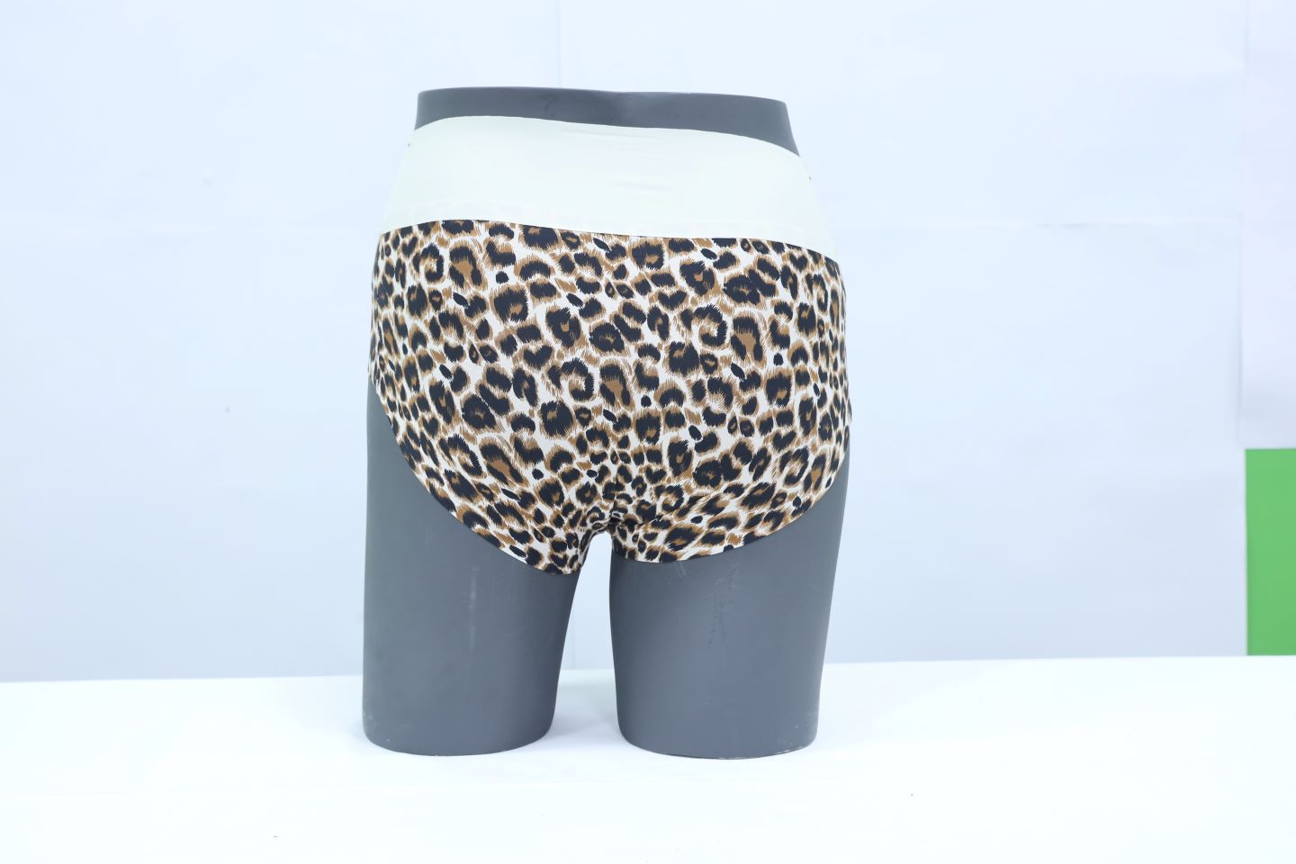 10116 - Premium High-Rise Underwear Regular Fit, Luxurious Comfort Panty
