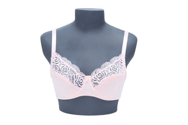 10002 - French Inspired Regular Underwire Bra, Non-Padded Premium Lace Design