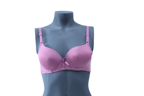 10023 - Deluxe Comfort Dual Boost Seamless Padded Support Underwire Bra