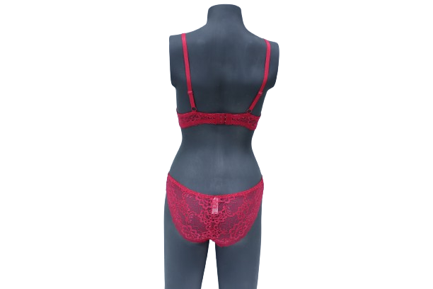 10040 - Elegant Lace Push-up Bra Panty Set with Underwire Support