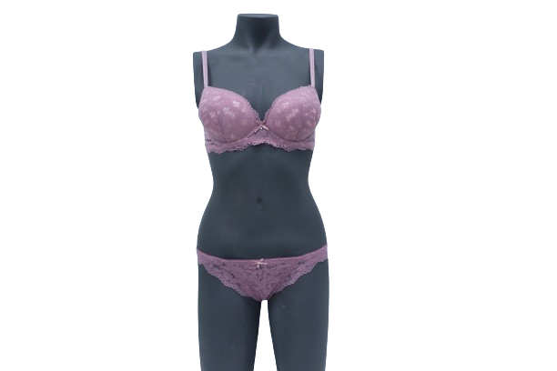 10055 - Lace Embellished Women's Push Up and Underwire Bra with Matching Panty Set