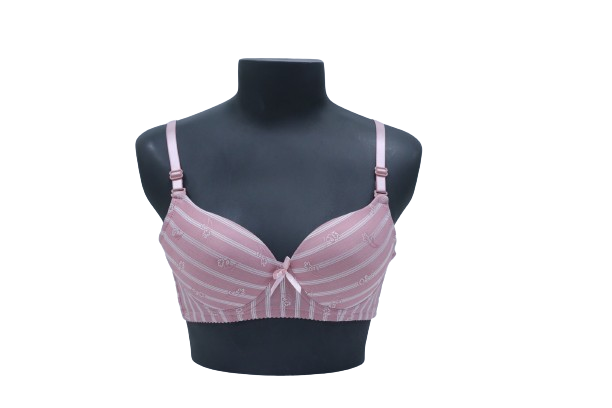 10085 - Comfort Enhanced Regular Bra with Normal Padding & Underwire Support