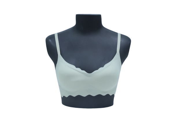 10100 - Seamless Comfort Bra: Normal Padded, Ultra Smooth Finish